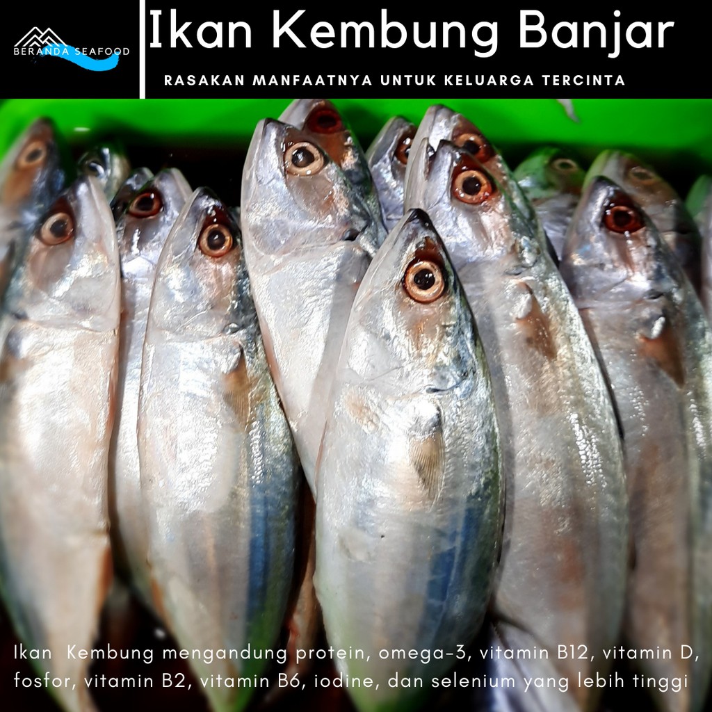 

Ikan Kembung Banjar Segar (kualitas super premium)