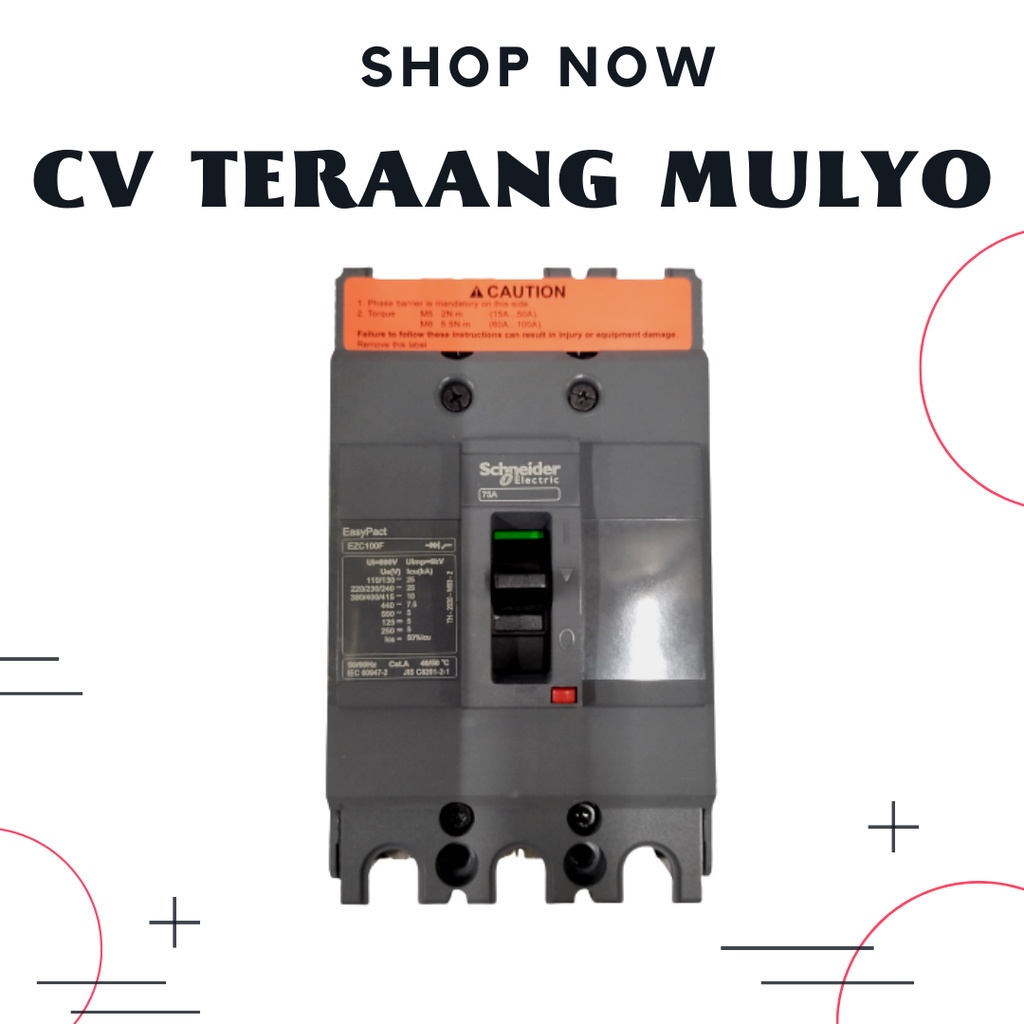 MCCB 60A Schneider EZC100F3060