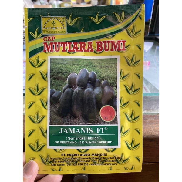 semangka inul merah jamanis f1