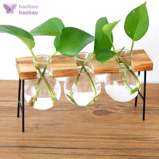 Pot Tanaman Hidroponik Mini Bahan Kaca Transparan Dengan Pot Tanaman Hidroponik Mini Bahan Kaca Transparan Dengan
