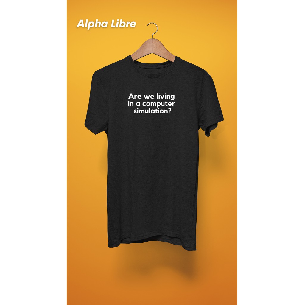 COMPUTER SIMULATION Premium T-Shirt New States Apparel