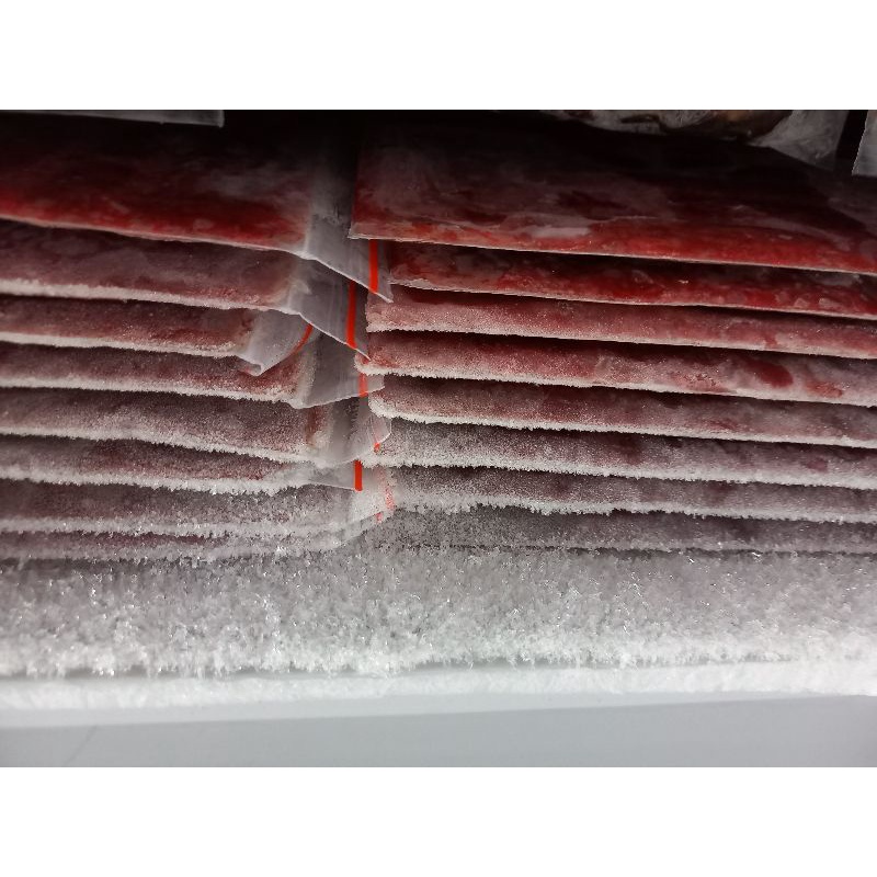 Qweena1 Cacing Beku Cacing Darah Beku Premium