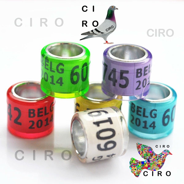 ring merpati no seri dan tahun ring burung merpati ring import merpati ring burung dara 8 mm