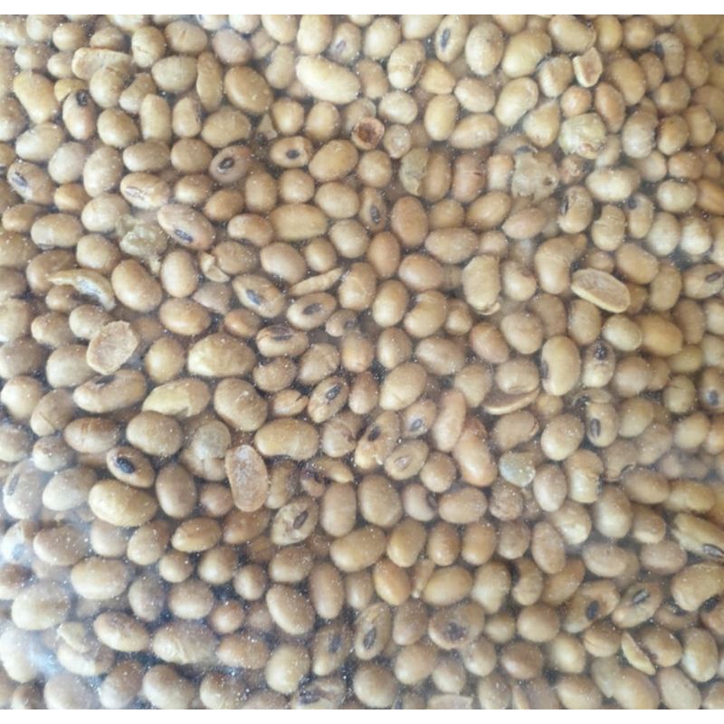 

Kacang kedele 250gram