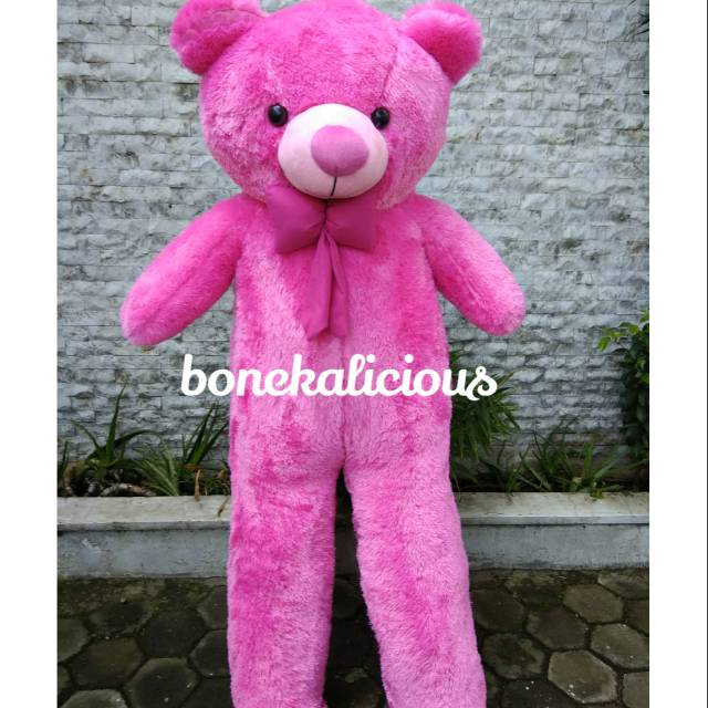 Boneka beruang teddy bear fanta super jumbo besar 150cm 1,5m 1,5 meter