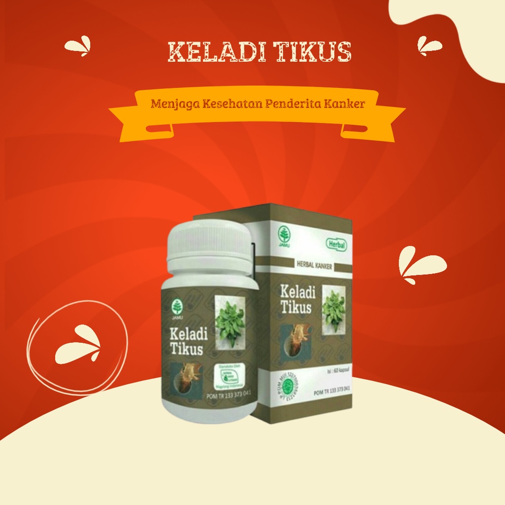 Kapsul Keladi tikus | keladi tikus kapsul herbal indo utama | obat kanker Asli 100% Semarang