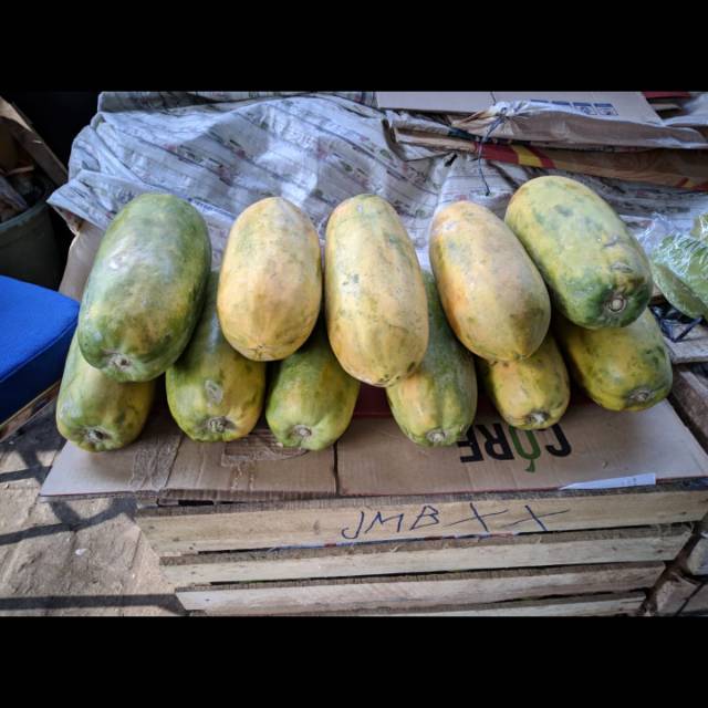 

Pepaya California