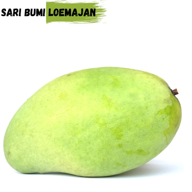 

manga indramayu 1kg