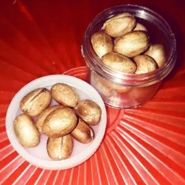 

BIJI POLOKYO 1 PAKET ISI 15 BIJI TIDAK ADA KOPONG DAN KWALITAS BAGUS