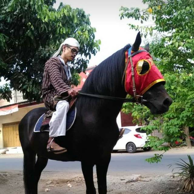 aulia_nafaida