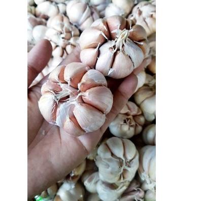 

☇ bawang putih 1kg ぃ