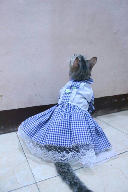 Dress kotak-kotak biru untuk kucing dan anjing / baju kucing murah size S-XL