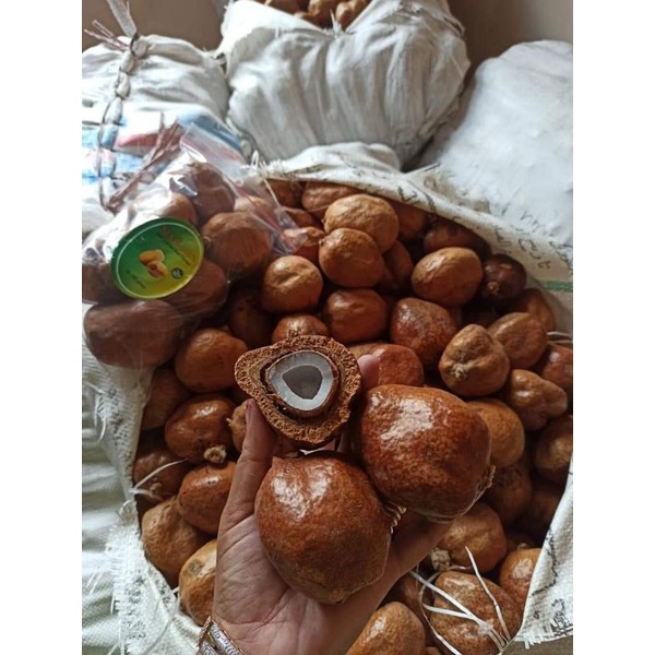 

buah zuriat mahasin