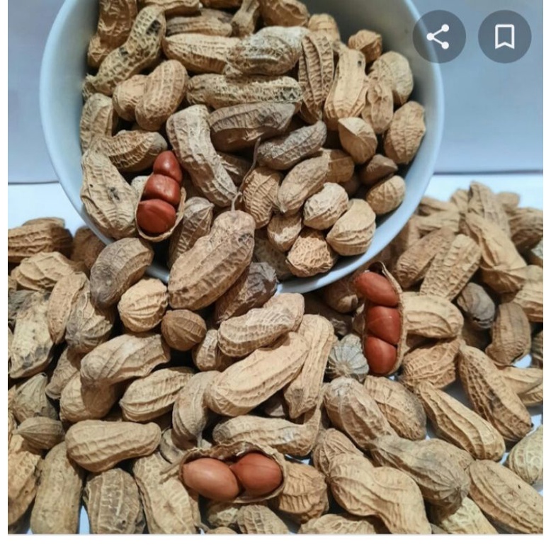 

kacang goreng sangrai 500gram