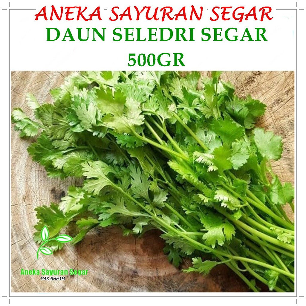 

Seledri Sayuran Segar 500 gr - Aneka Sayuran Segar