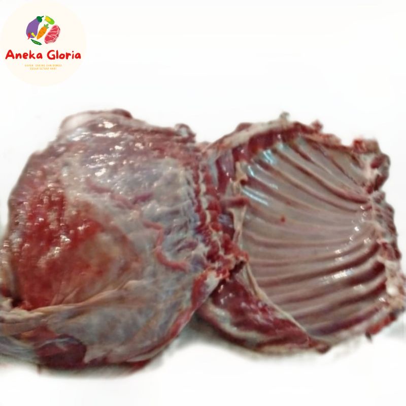 

Daging Iga Kambing Muda Segar 1 Kg Fresh