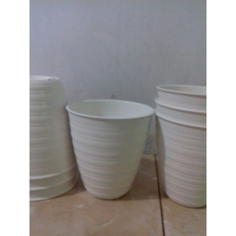 Pot tawon kecil putih