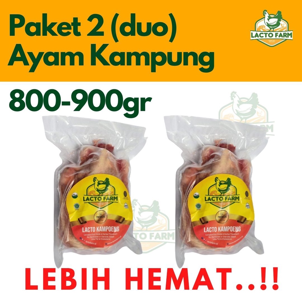 

Paket HEMAT 2 Ayam Kampung Organik Lacto Farm (800-900gr) Halal, Fresh, Ayam MPASI | Menu MPASI | Ayam Sehat | Ayam Anti Alergi | Daging Ayam MPASI