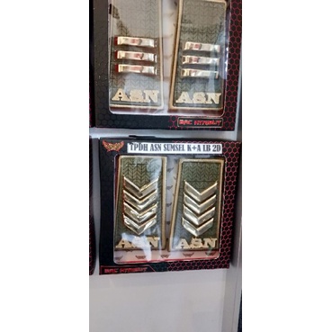 pangkat PNS/ASN Sumsel gol 2d