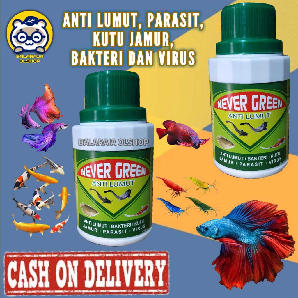 OBAT AKUARIUM ANTI LUMUT PENGHILANG BAU AIR KOLAM IKAN AIR AQUARIUM IKAN HIAS - NEVER GREEN