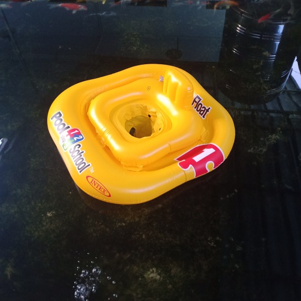 Intex Pelampung Bayi Deluxe Baby Float Pool School Step 1 56587 HADIAH
