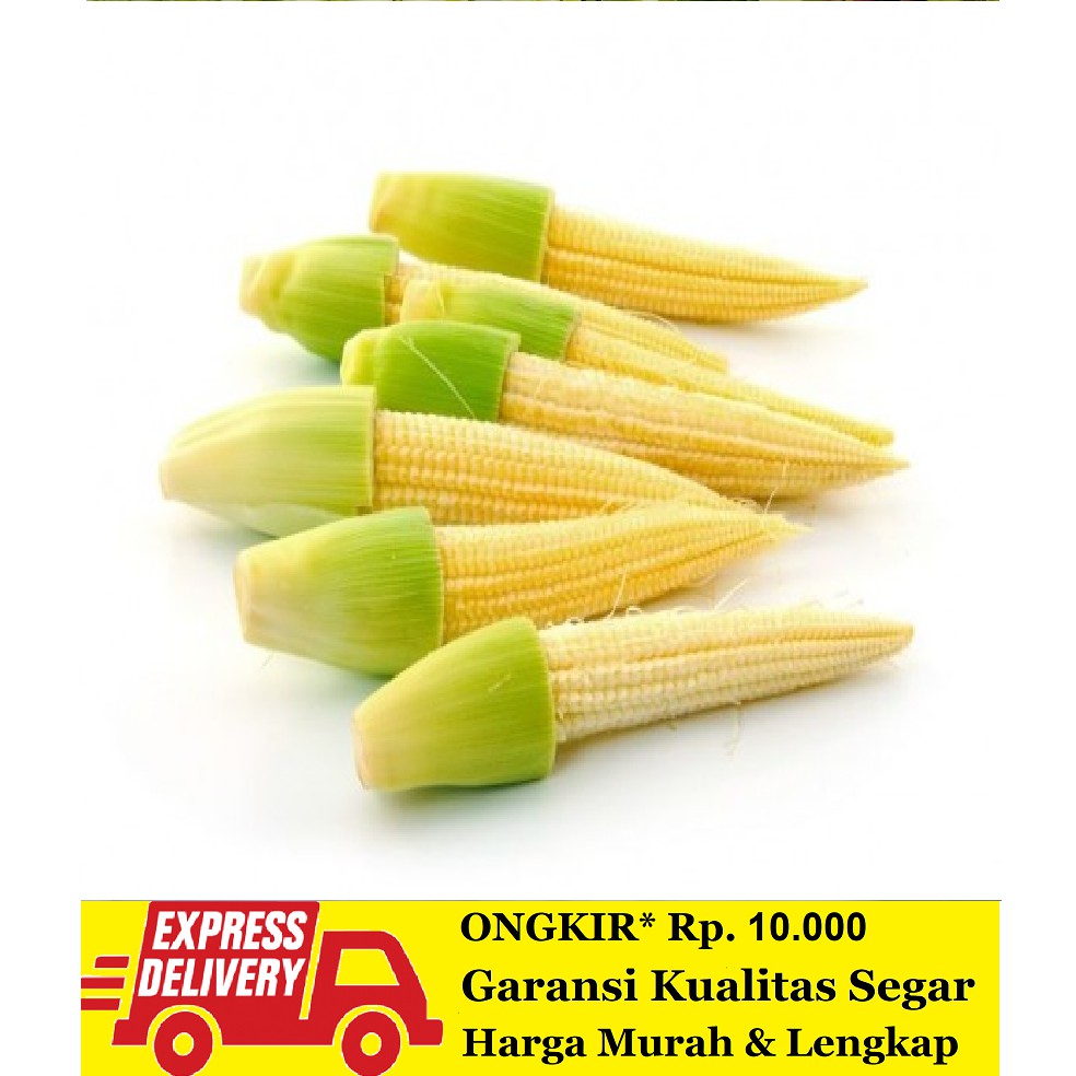 

Jagung Muda / Baby 250 gram