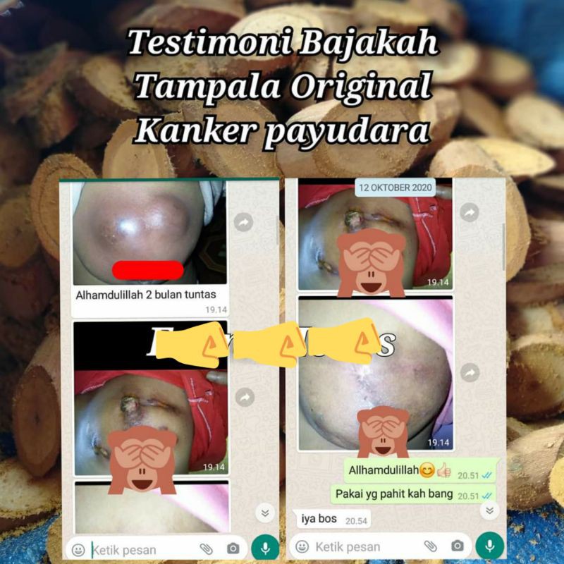 

Bajakah Tampala Original Asli Kalteng