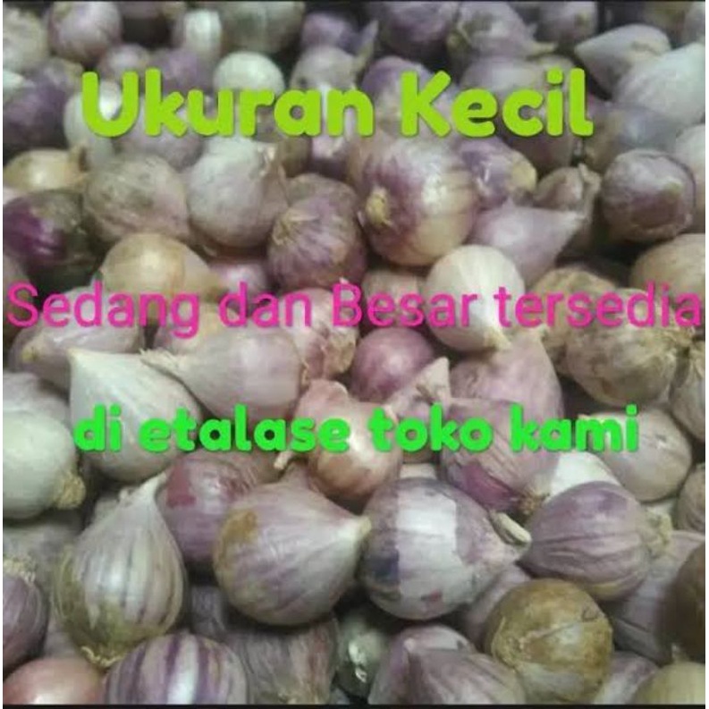 

BAWANG PUTIH TUNGGAL Harga satuan