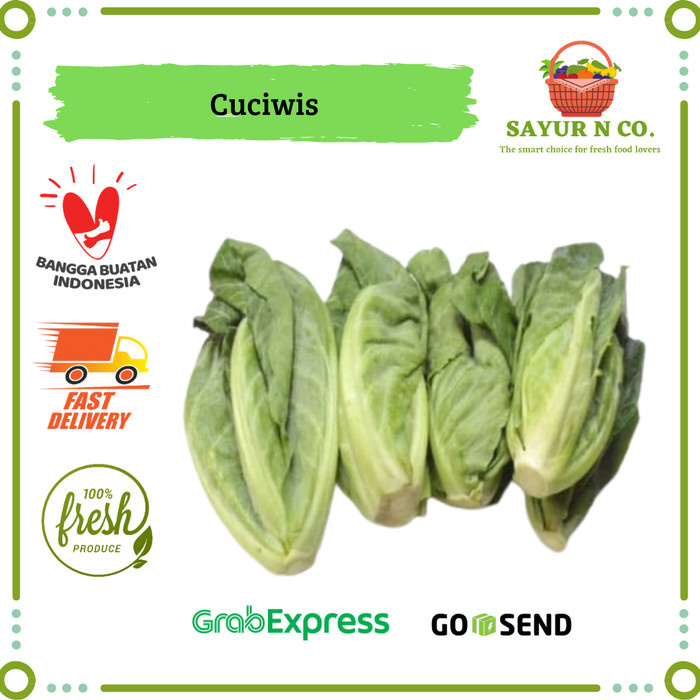 

Ceciwis / Keciwis / Siwil | Sayur N Co Bekasi