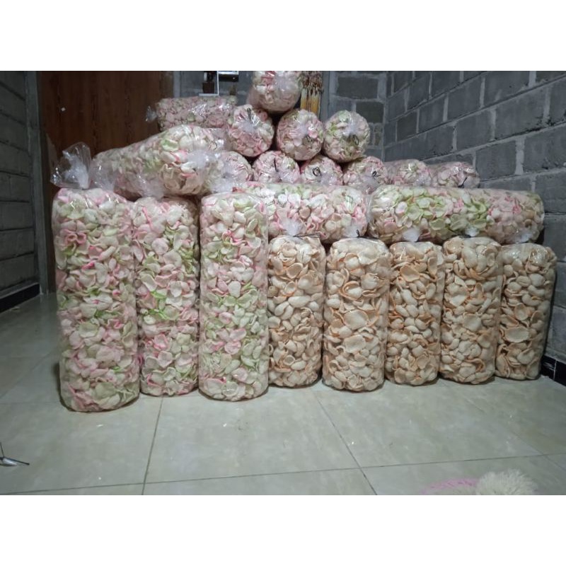 Jual Krupuk Goreng Pasir Rasa Manis Renyah Gurih Mantab Indonesia Shopee Indonesia