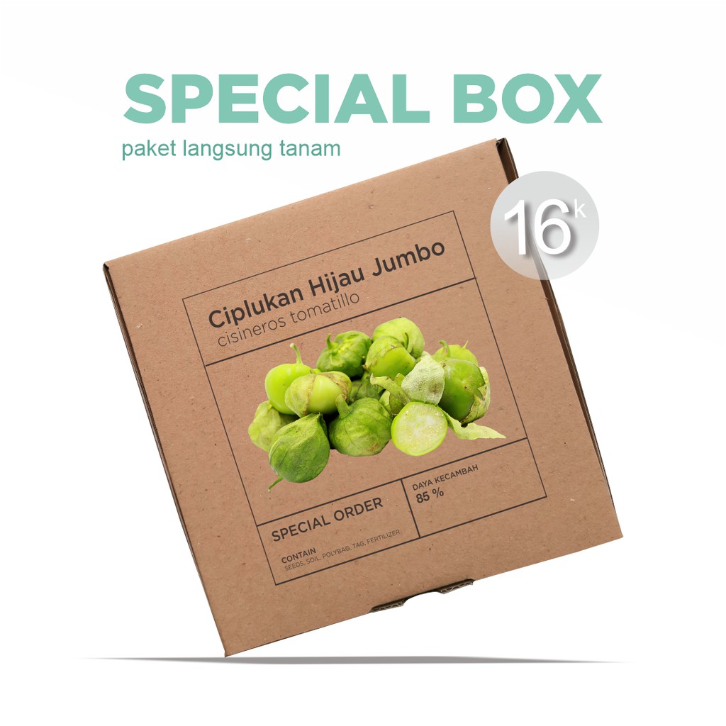 Paket Langsung Tanam - Gardening Kit - SPECIAL BOX - Benih Ciplukan Hijau Jumbo / Cisineros Tomatillo Seeds