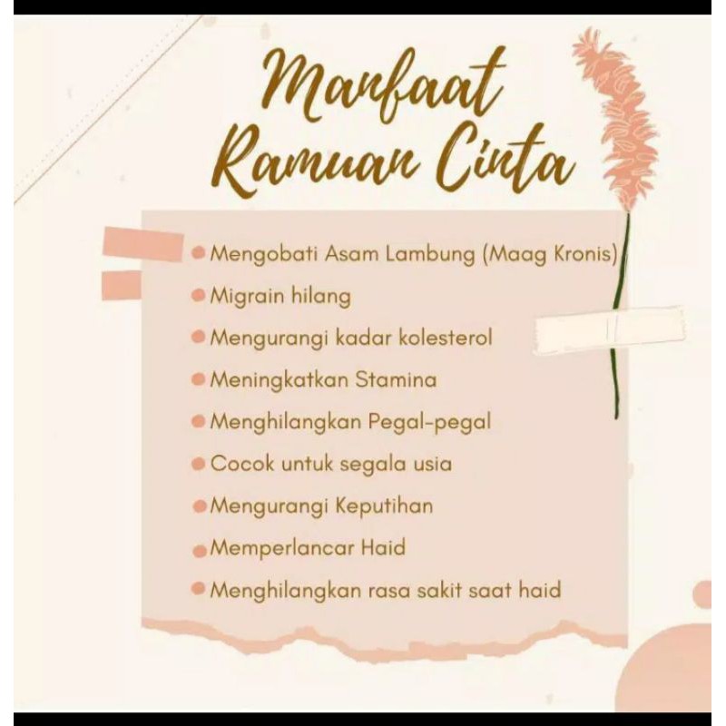 RAMUAN CINTA 100% Original by muty