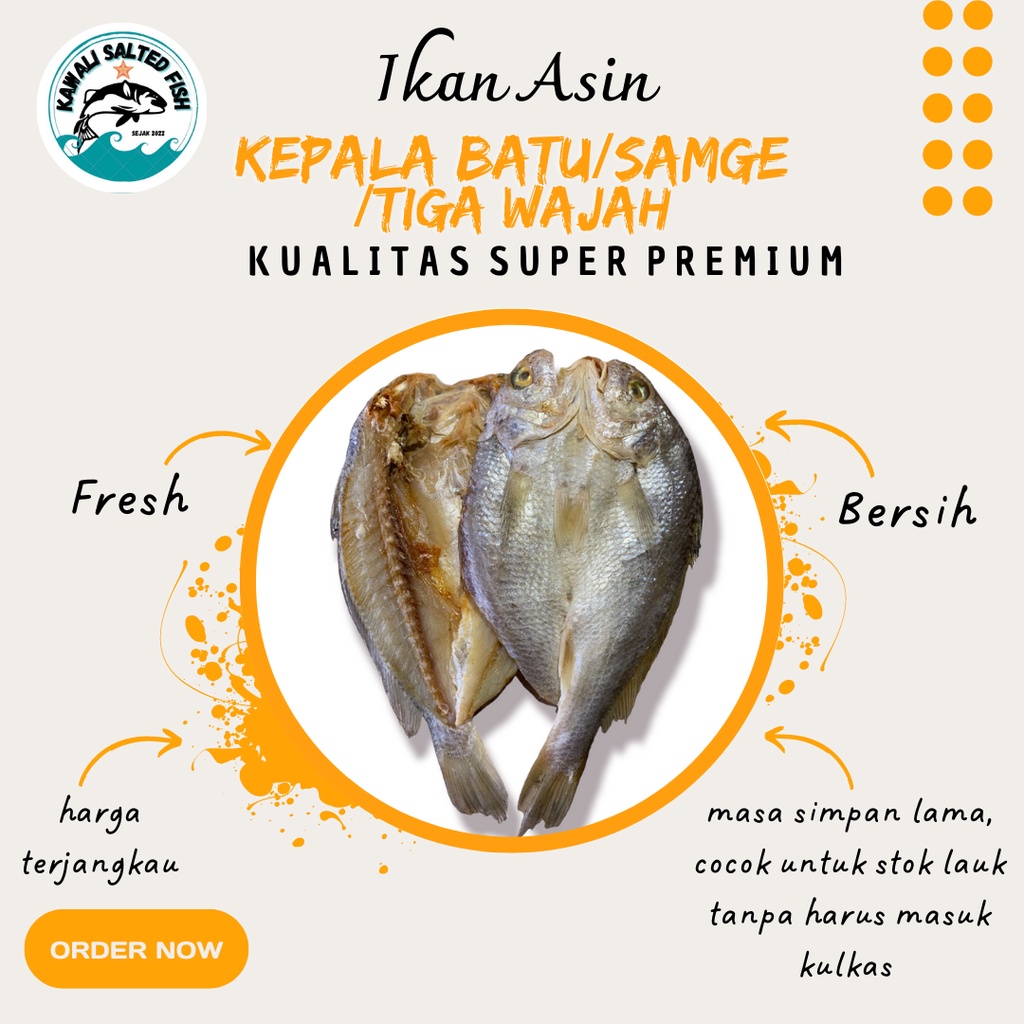 

Ikan Asin Samge 1 Kg