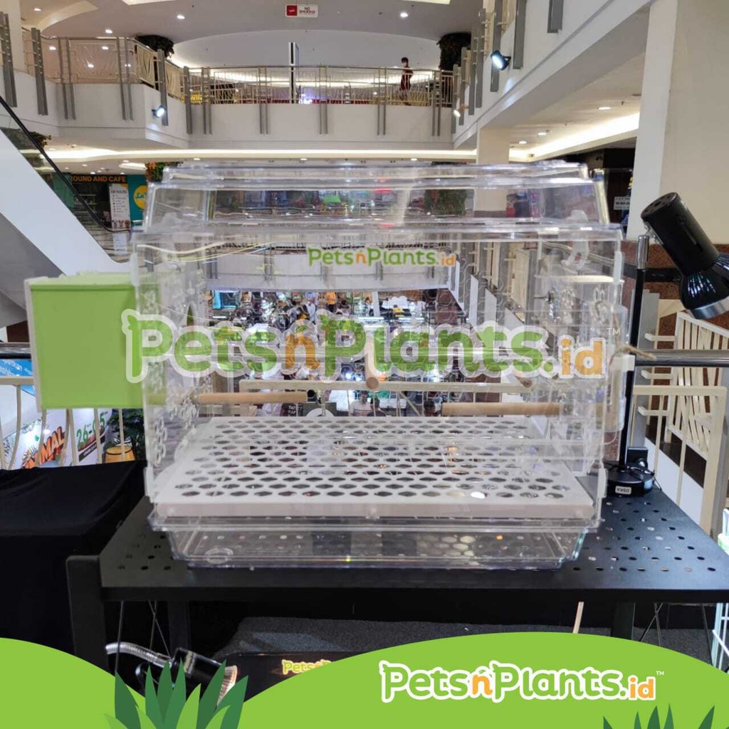 Kandang Burung Akrilik Acrylic Bird Cage Kenari Love Bird Parkit Crystal Clear Import 47x31x44 CM