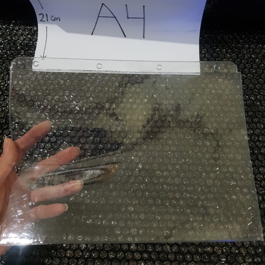 COVER PLASTIK MIKA TEBAL PELINDUNG KERTAS DOKUMEN A4 MURAH / SAMPUL A4 / MAP A4 / PLASTIK SAMPUL KERTAS TEBAL / COVER MENU RESTORAN / TEMPAT KERTAS / SAMPUL MENU / TEMPAT BROSUR A4 / MAP DOKUMEN DITEMBOK / POSTER KERTAS DITEMBOK / SAMPUL KERTAS GANTUNG