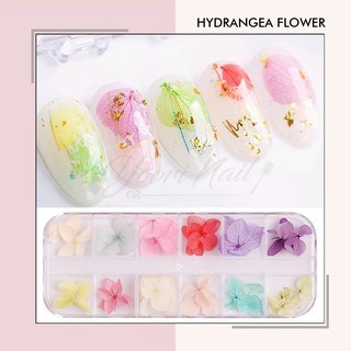 Hydrangea flower 12 warna bunga kering nail art mini dried flower kuku dry flowers hiasan kuku