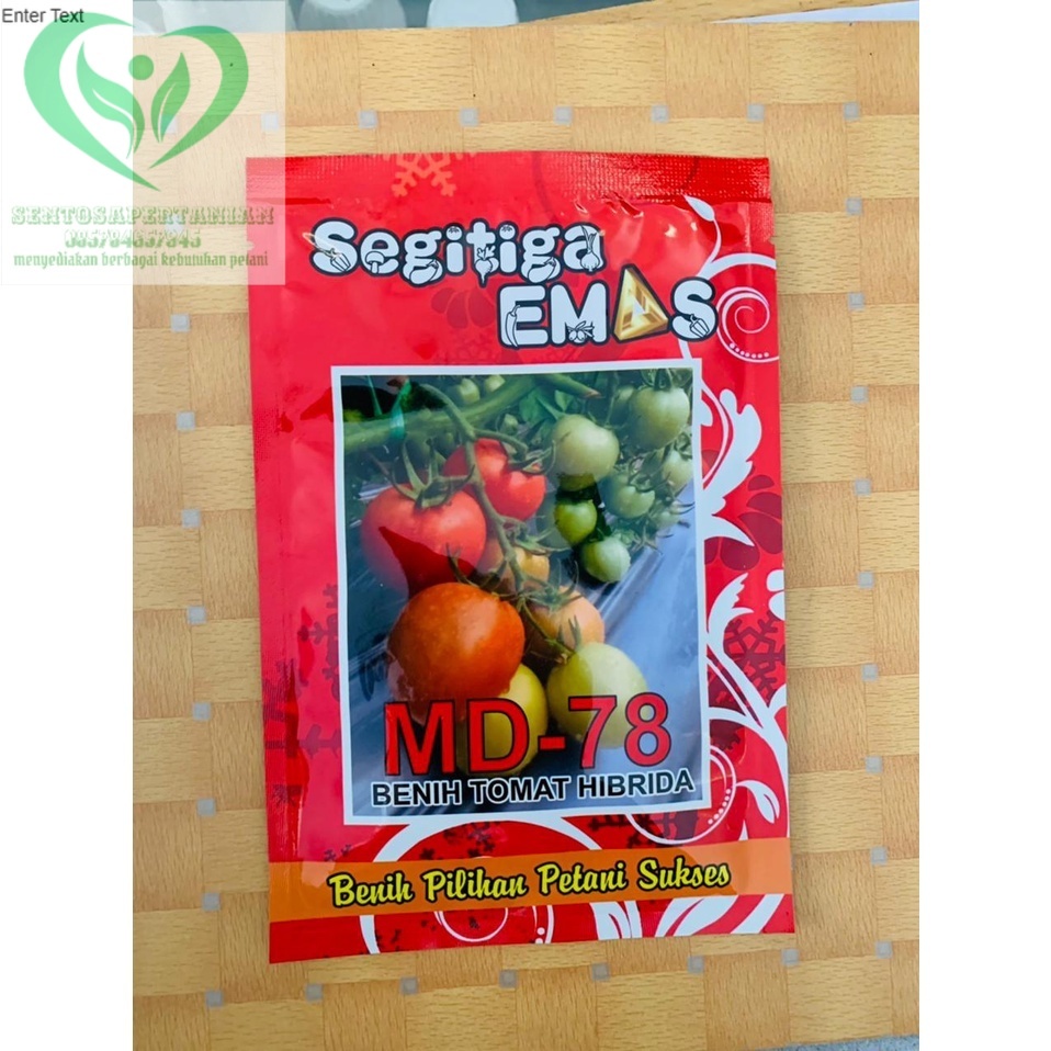 Benih Tomat Hibrida MD-78 isi 5gr dari SEGITIGA EMAS