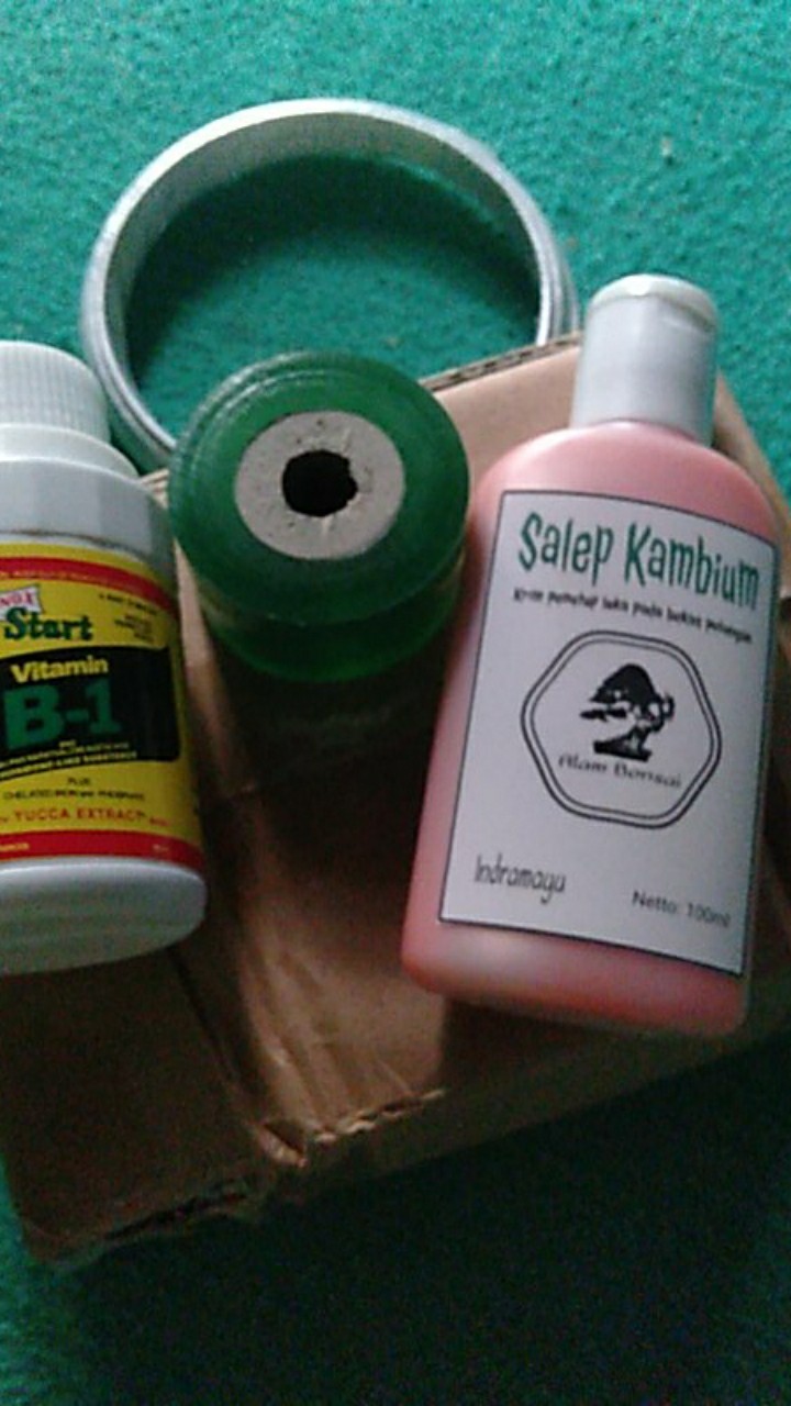 Salep Kambium Bonsai Kemasan 100ml