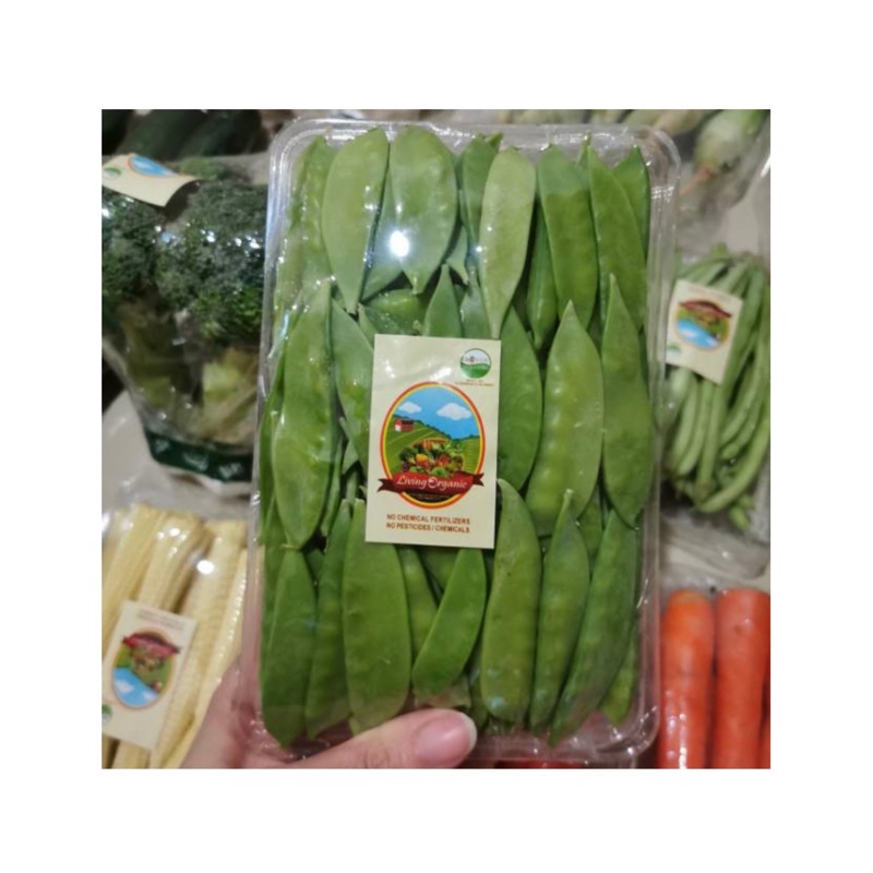 

Kapri Muda, snowed Peas || 200 gr || sayuran organik