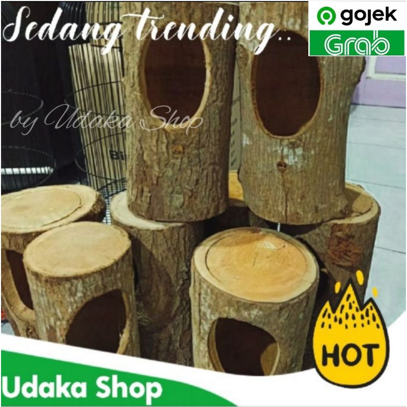 rumah burung murai glodok murai