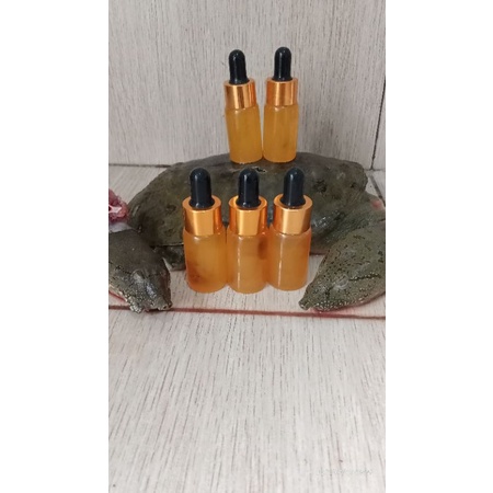 pembesar payudara dan penis(minyak bulus asli)