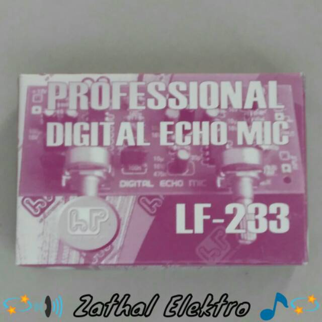 Professional Digital Echo Mic