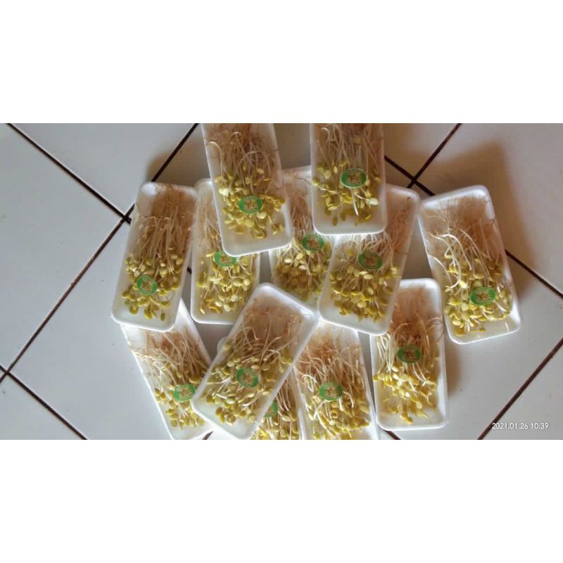 

Sayurale,Sayur