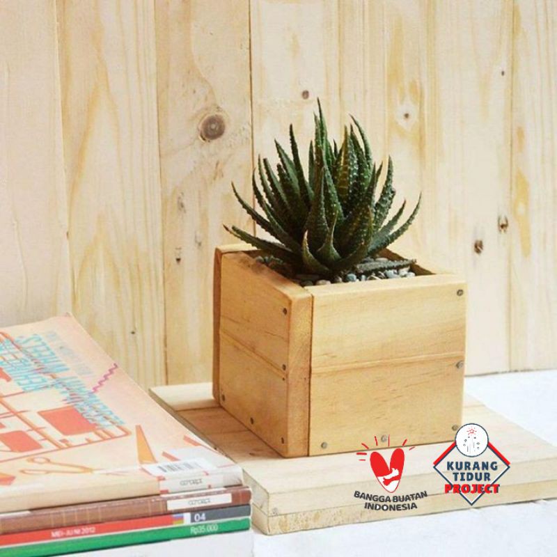 Pot bunga kaktus kayu Sukulent pot kayu unik sukulen/ pot kecil/ pot kaktus