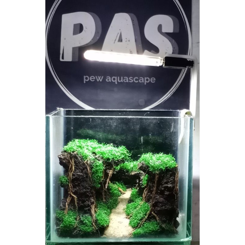 New lampu led soliter cupang lampu led usb aquascape dan aquarium