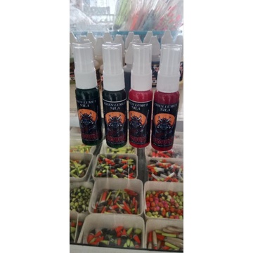 ESEN NILA SAMURAI KUSUS MEDIA LUMUT #ESENTERLARIS #esengacor