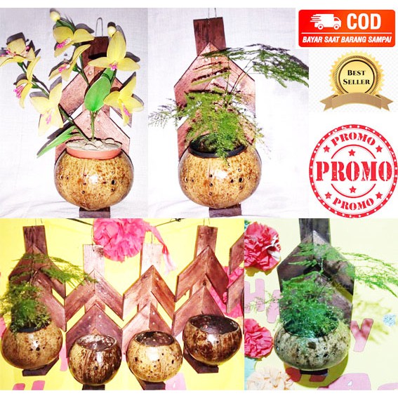 POT ANGGREK BATOK KELAPA CANTEL UNIK UNTUK TANAMAN ANGGREK DAN MACAM HIASAN LAINNYA