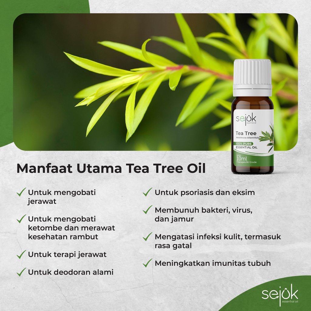 Sejuk Tea Tree Essential Oil / Minyak Aromaterapi Pure 100% - 10 ml