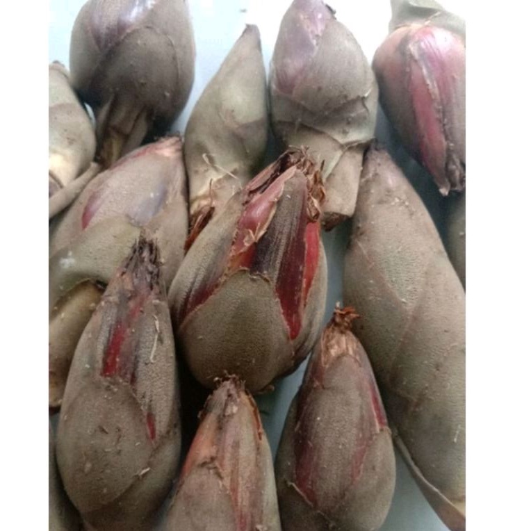 

Buah piningbawang/galobe segar per 500gram