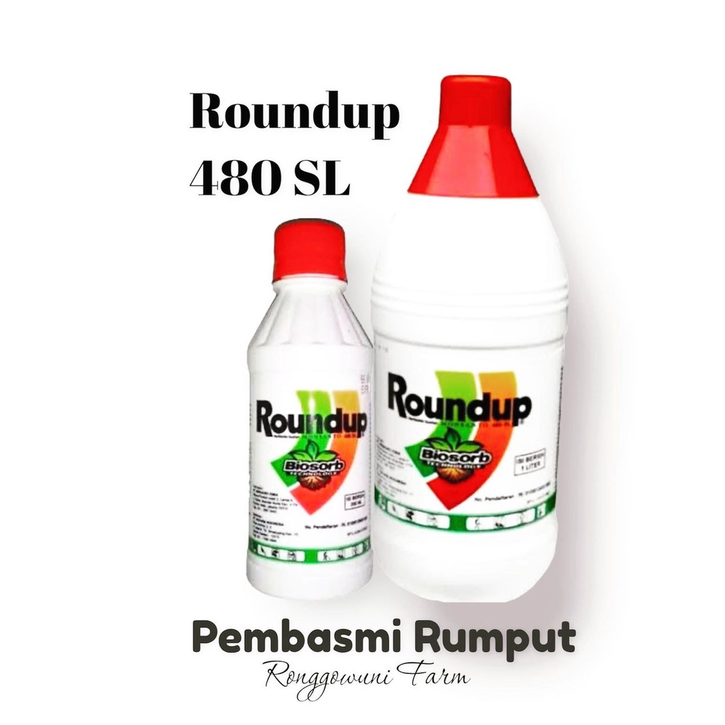 ROUNDUP PEMBASMI RUMPUT